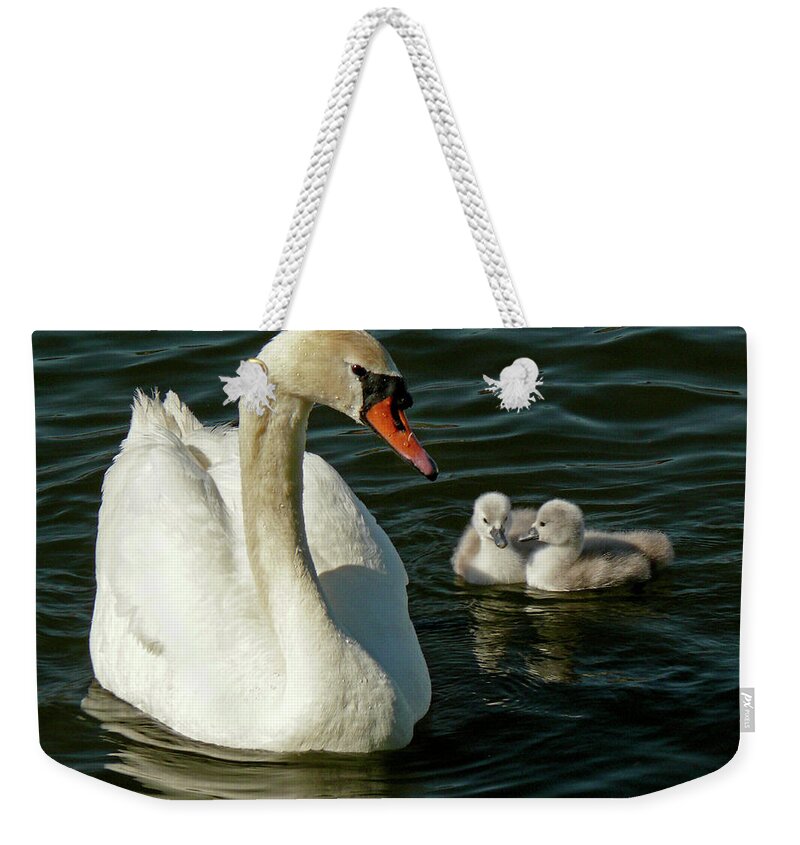 Swan Weekender Tote Bag featuring the photograph Adoring Mother by Inge Riis McDonald