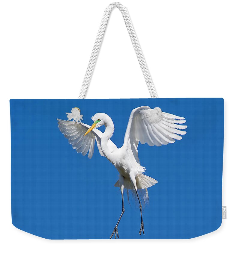 Wildlife Weekender Tote Bag featuring the photograph Aerial Ballet by Kenneth Albin