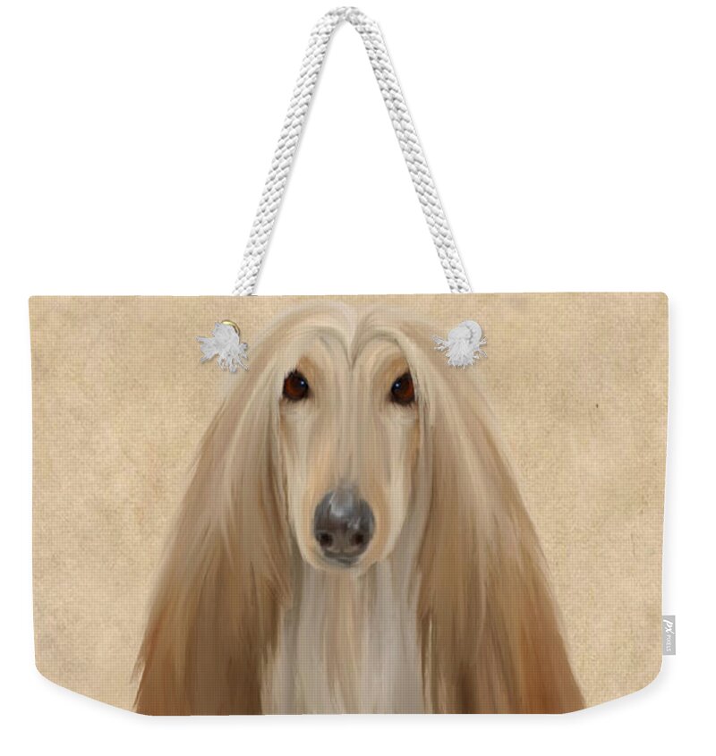 Designs Similar to Afghan Hound by John Edwards