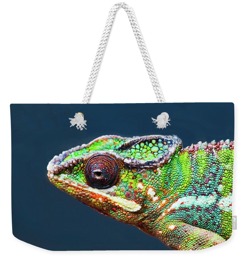African Chameleon Weekender Tote Bag featuring the photograph African Chameleon by Richard Goldman