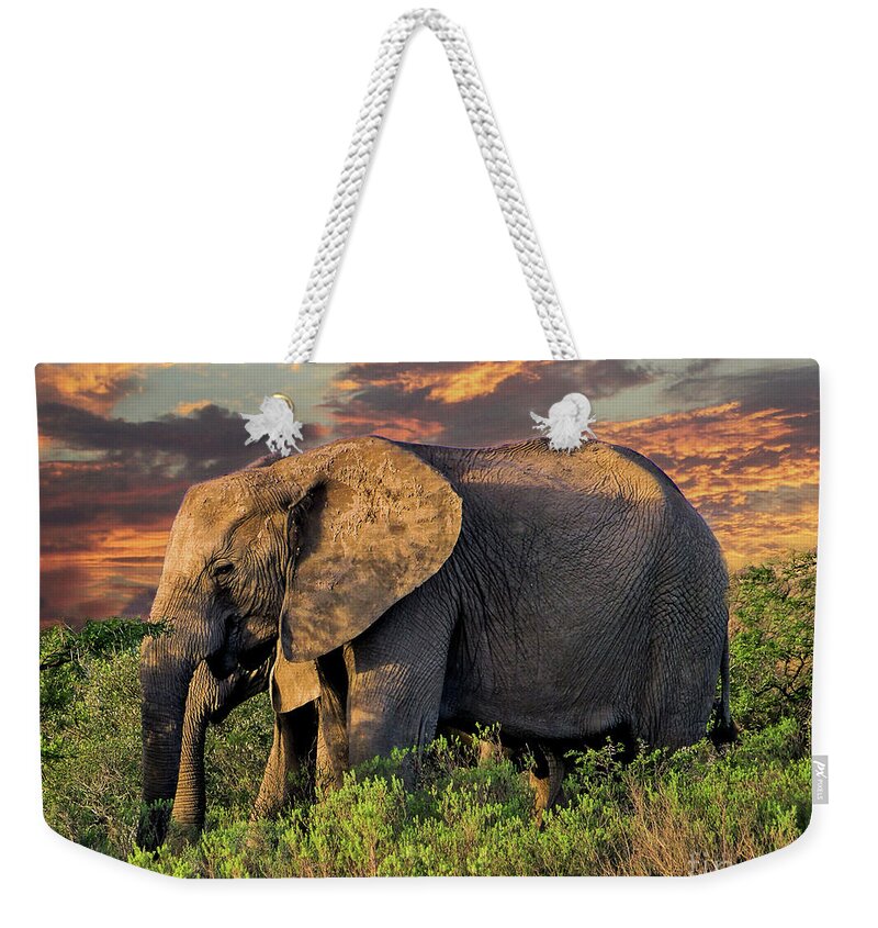 African Elephant Weekender Tote Bag featuring the photograph African Elephants at Sunset by Lynn Bolt