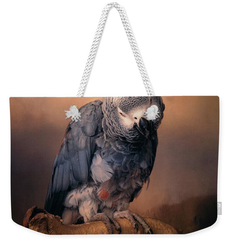 Parrot Weekender Tote Bag featuring the photograph African Grey Parrot by Maria Angelica Maira