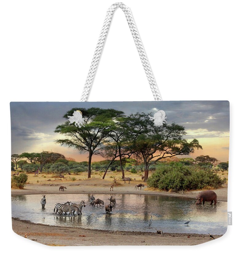 African Landscape Weekender Tote Bag featuring the photograph African Safari Wildlife At The Waterhole by Gill Billington
