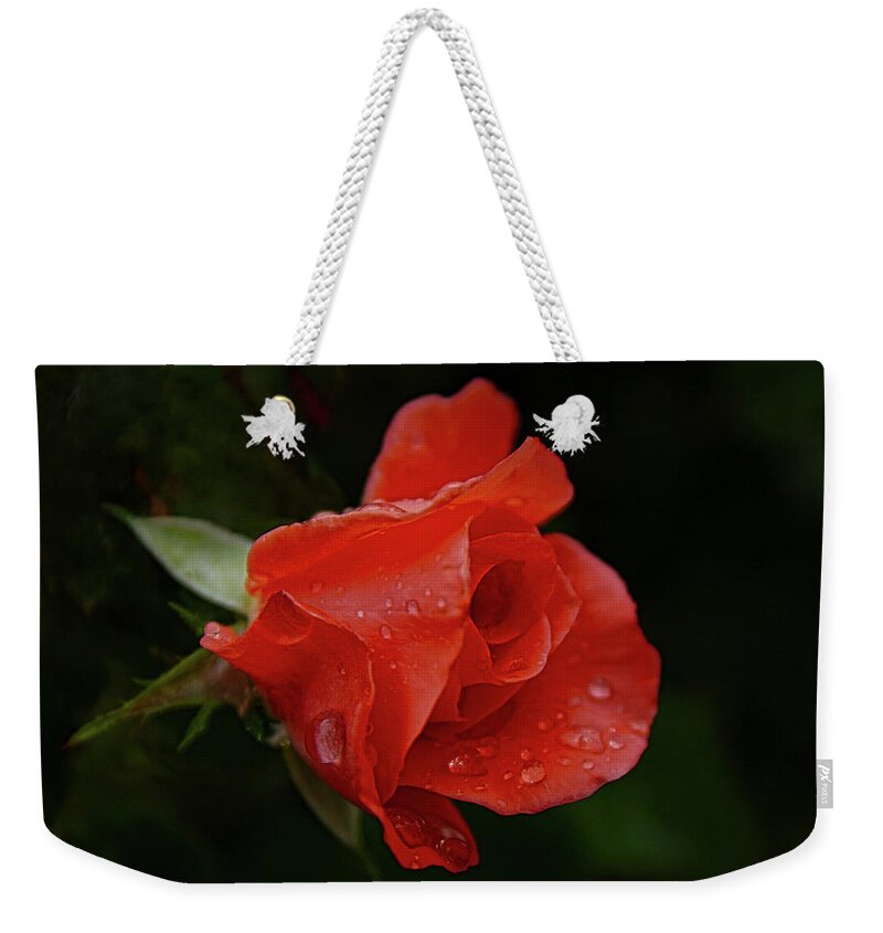 Rose Weekender Tote Bag featuring the photograph After a Summer Rain 2 by Ernest Echols