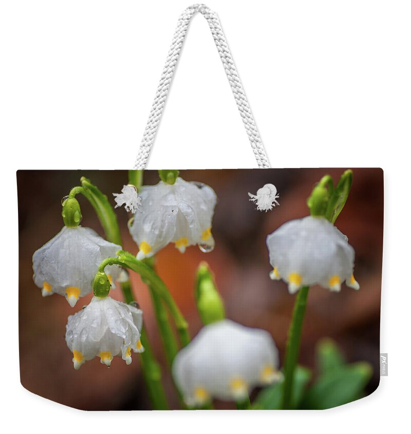 Jenny Rainbow Fine Art Photography Weekender Tote Bag featuring the photograph After Rain. Snowdrop Flowers by Jenny Rainbow