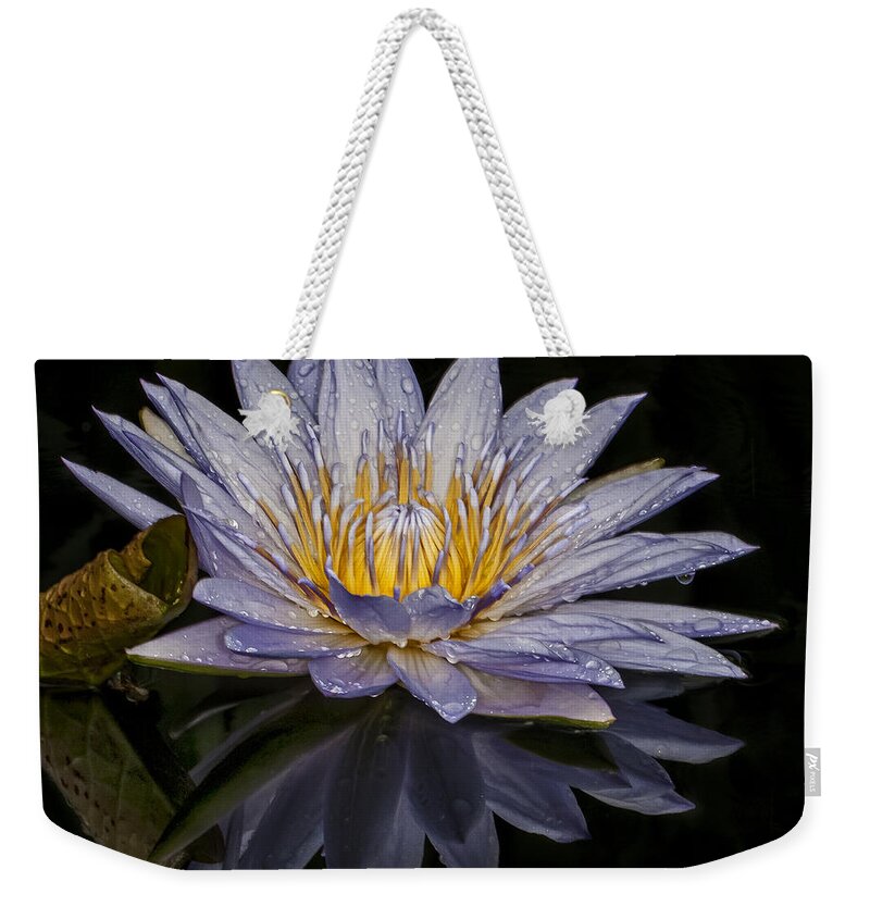 Water Lily Weekender Tote Bag featuring the photograph After the Rain by Roman Kurywczak