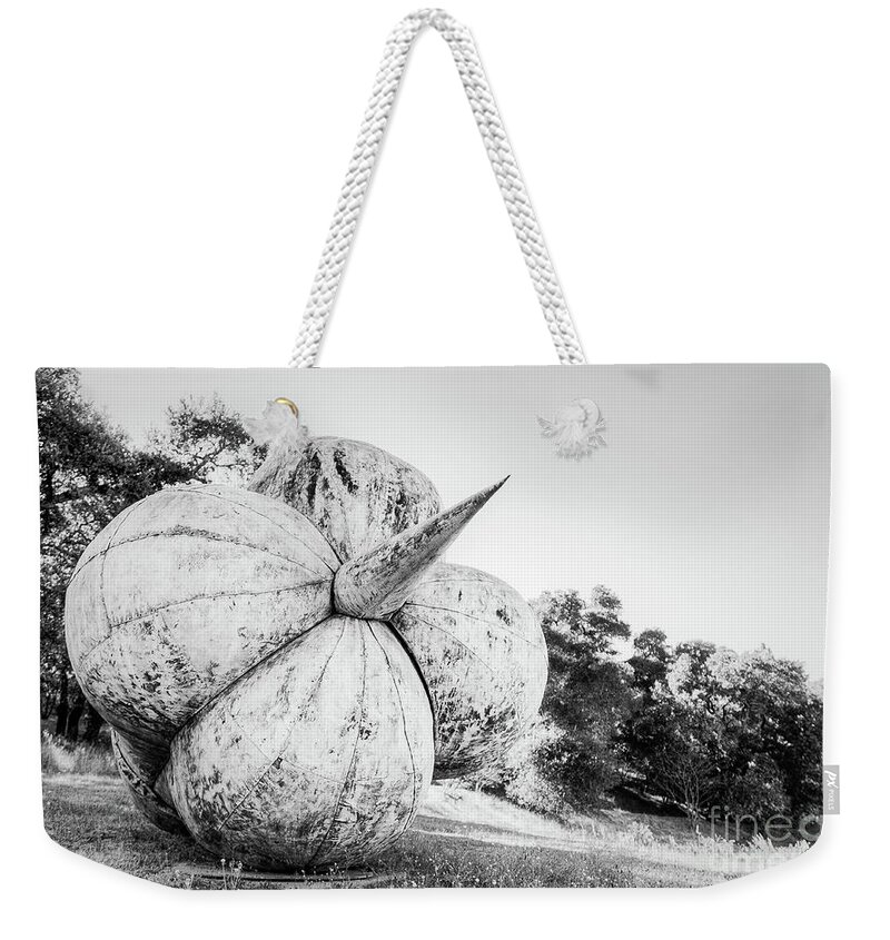 Environamental Art Weekender Tote Bag featuring the photograph After the Reign by Dean Birinyi