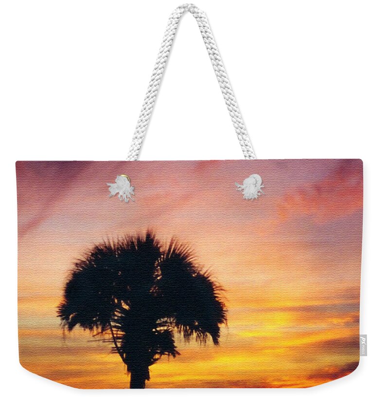 Palm Weekender Tote Bag featuring the photograph After the Storm by Peggy Urban