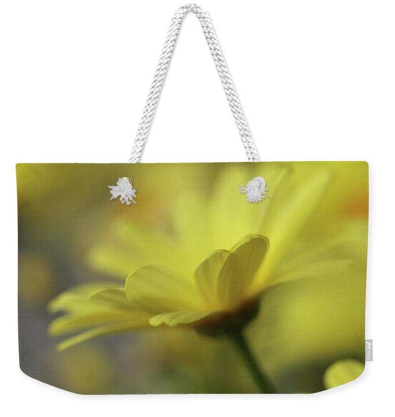 Connie Handscomb Weekender Tote Bag featuring the photograph Afternoon Delight by Connie Handscomb