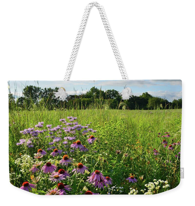 Black Eyed Susan Weekender Tote Bag featuring the photograph Afternoon in Moraine Hills State Park by Ray Mathis