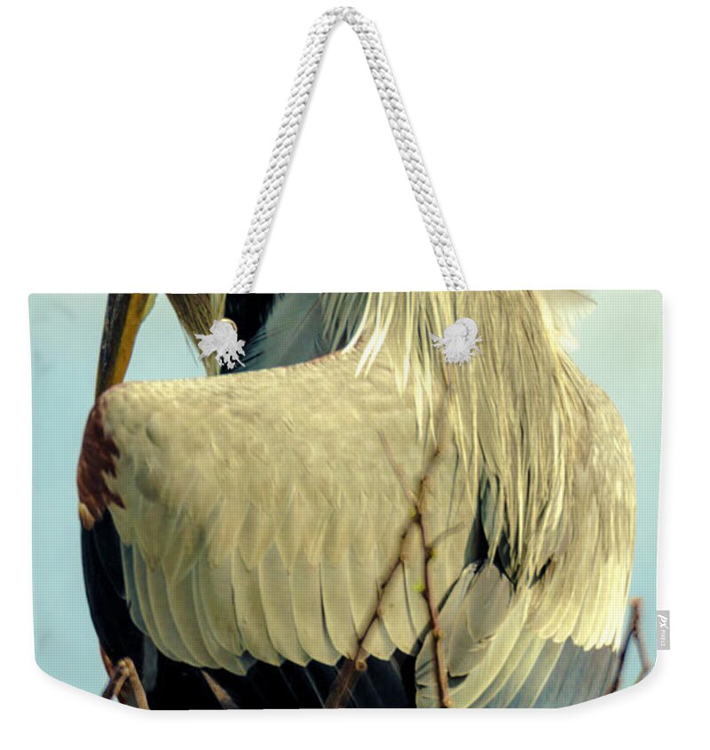 Delray Beach Weekender Tote Bag featuring the photograph Afternoon Nap by Wolfgang Stocker