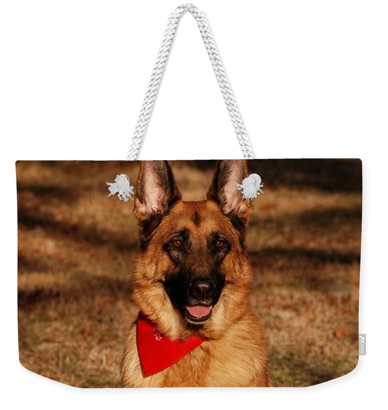 German Shepherd Dogs Weekender Tote Bag featuring the photograph Afternoon Portrait of a German Shepherd by Angie Tirado