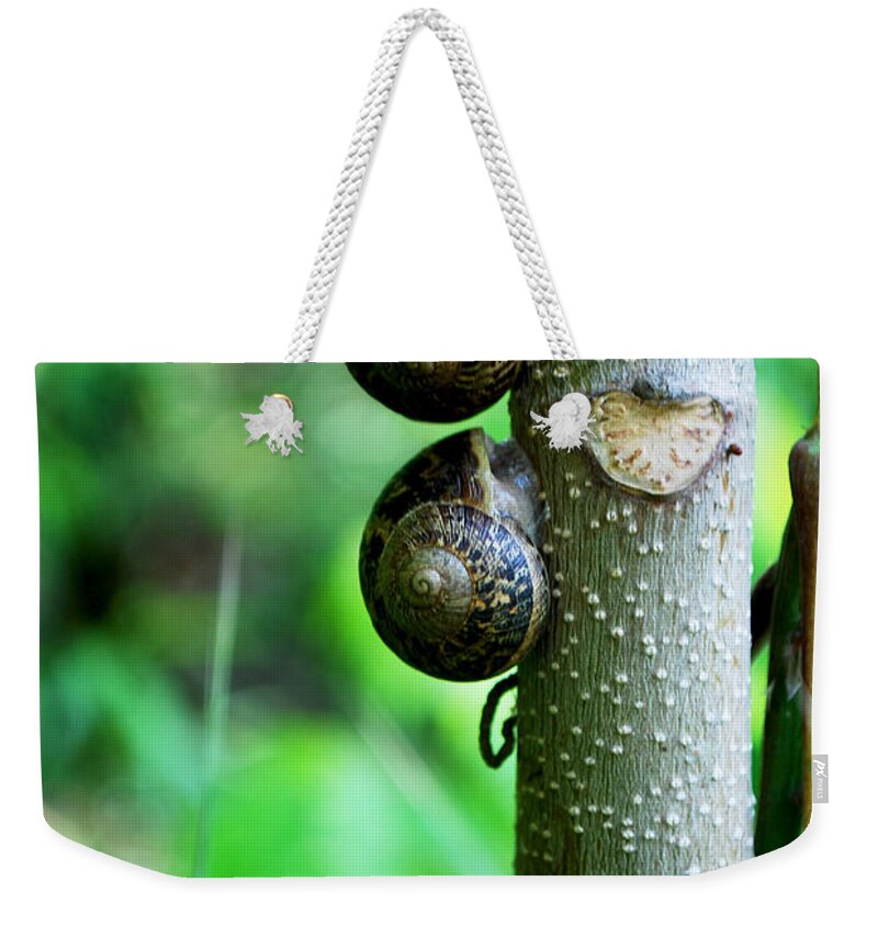 Becky Furgason Weekender Tote Bag featuring the photograph #aftertheyhavereignedtheywillrest by Becky Furgason