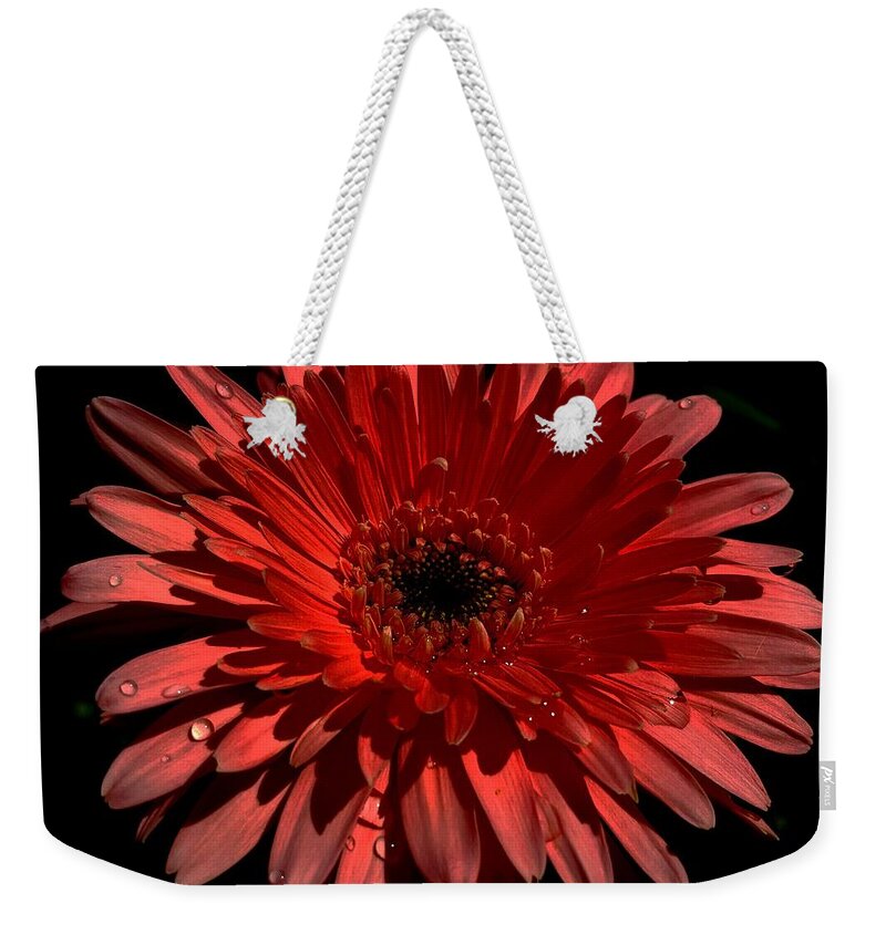 Flower Weekender Tote Bag featuring the photograph Afterthought by Dani McEvoy