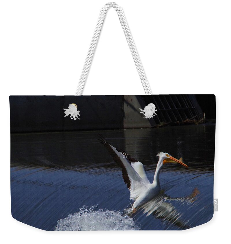 Pelican Weekender Tote Bag featuring the photograph Against the currents by Jeff Swan