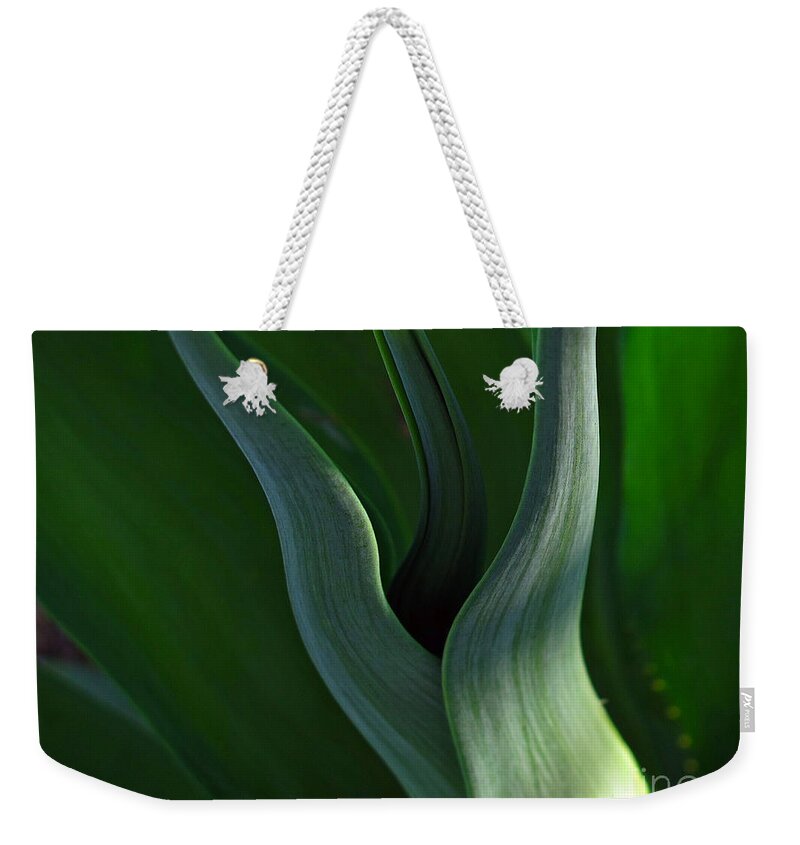 Wall Art Weekender Tote Bag featuring the photograph Agave Abstract by Kelly Holm