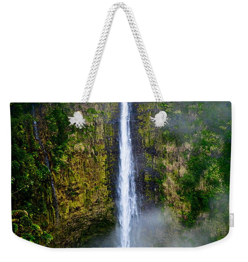 Nature Weekender Tote Bag featuring the photograph Akaka Falls by Christopher Holmes
