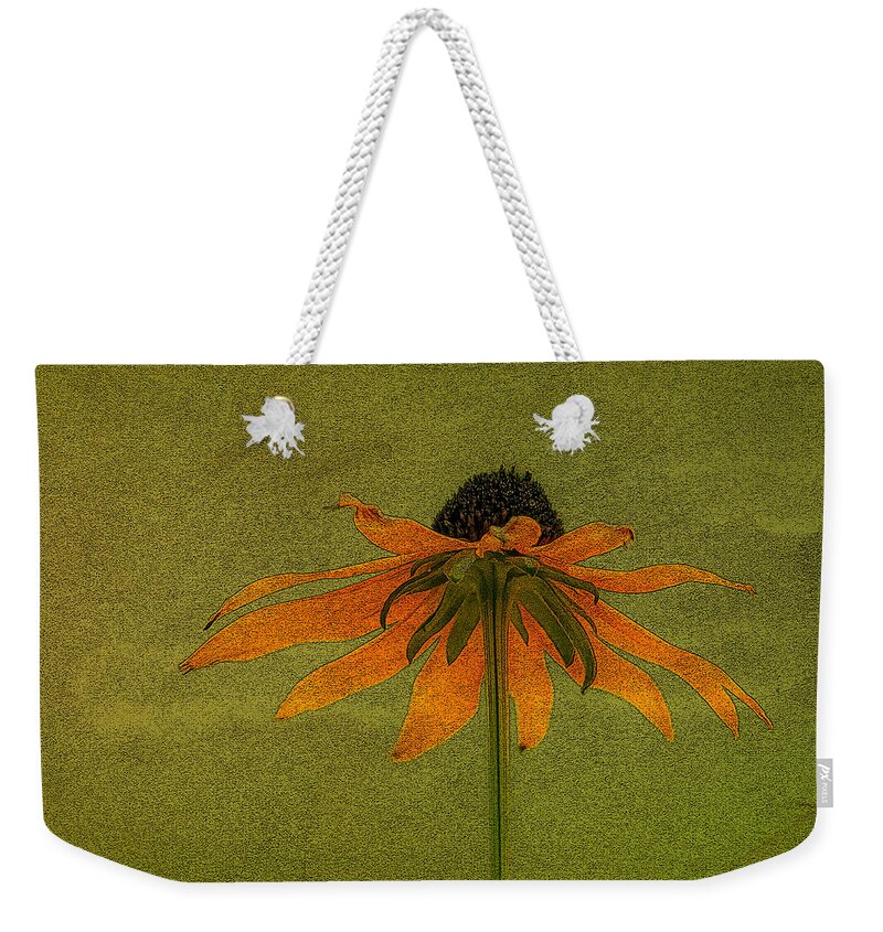 Flower Weekender Tote Bag featuring the photograph Alice's Dream by Skip Tribby