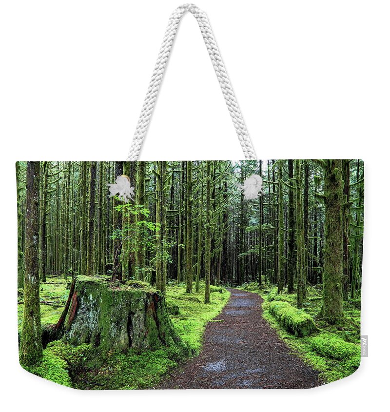 Alex Lyubar Weekender Tote Bag featuring the pyrography All covered with green moss magic forest by Alex Lyubar