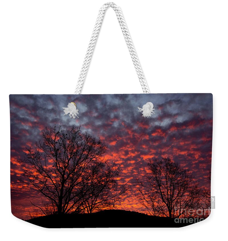 Pink Weekender Tote Bag featuring the photograph All Fluff by Mim White