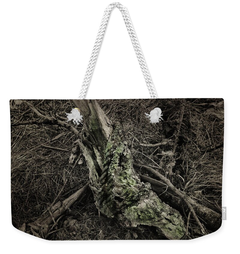 Tree Limb Weekender Tote Bag featuring the photograph All That Remains by Sue Capuano