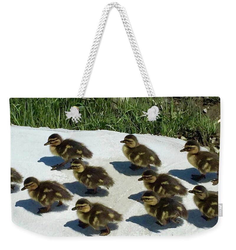 Ducklings Weekender Tote Bag featuring the photograph All Together Now by Beth Saffer