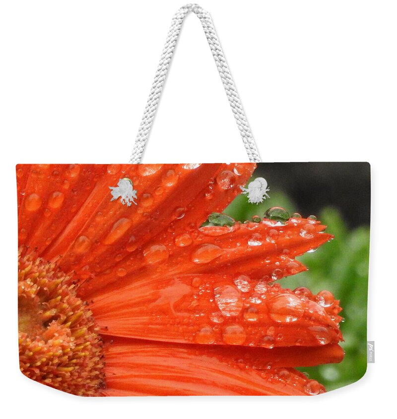Gerbera Weekender Tote Bag featuring the photograph All Wet Two by Betty-Anne McDonald