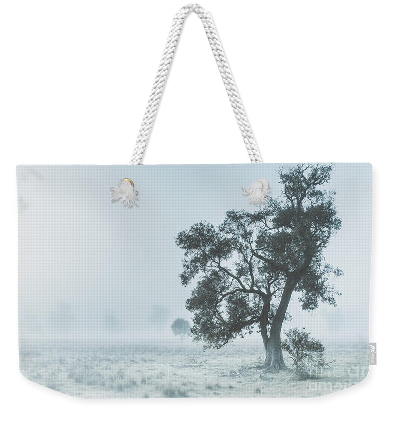 Aleena Weekender Tote Bag featuring the photograph Alleena winter landscape by Jorgo Photography