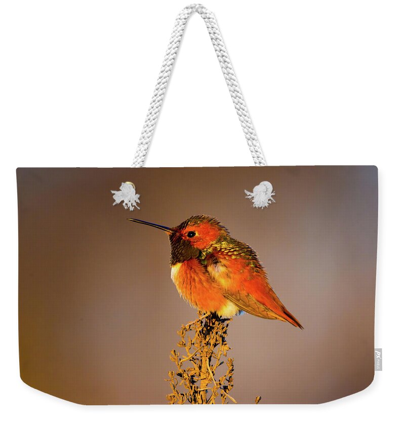 Allen's Hummingbird Weekender Tote Bags