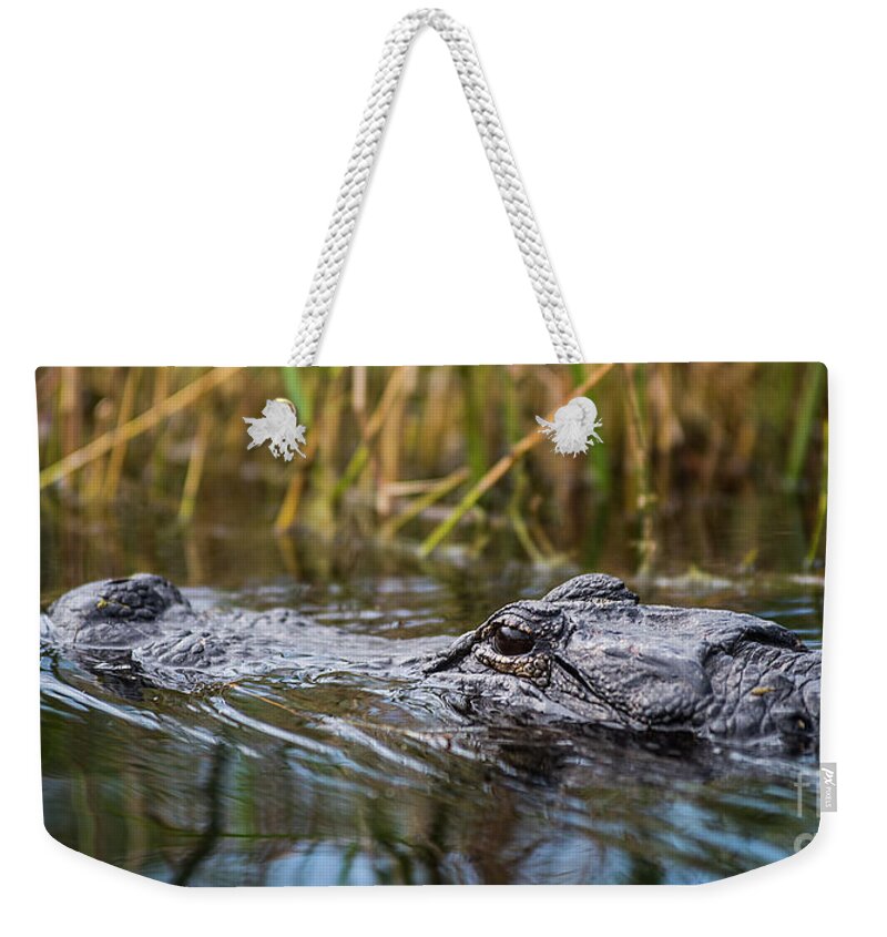 Loxahatchee Weekender Tote Bag featuring the photograph Alligator closeup-2-0600 by Steve Somerville