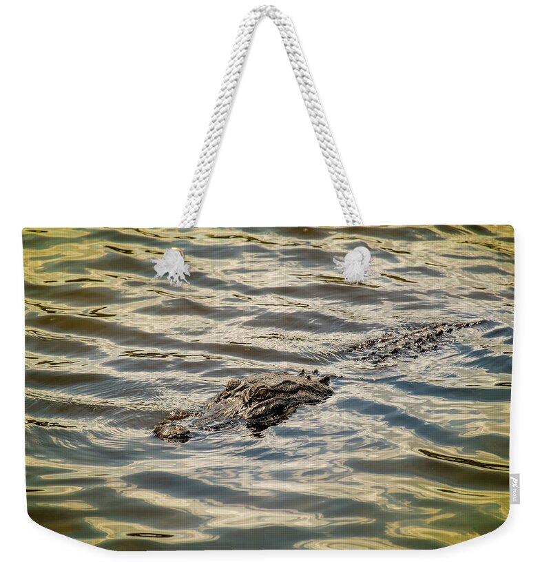Wildlife # Reptile # Alligators # Lake # United States # University Of Florida # Gainesville Fl # Weekender Tote Bag featuring the photograph Alligator in lake Alice by Louis Ferreira