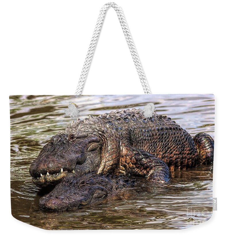 Alligator Weekender Tote Bag by Thomas - Pixels