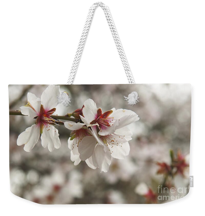 Almond Weekender Tote Bag featuring the photograph Almond Blossoms by Shahar Tamir