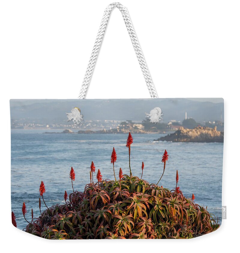 Aloe Weekender Tote Bag featuring the photograph Aloe Over Monterey by Derek Dean