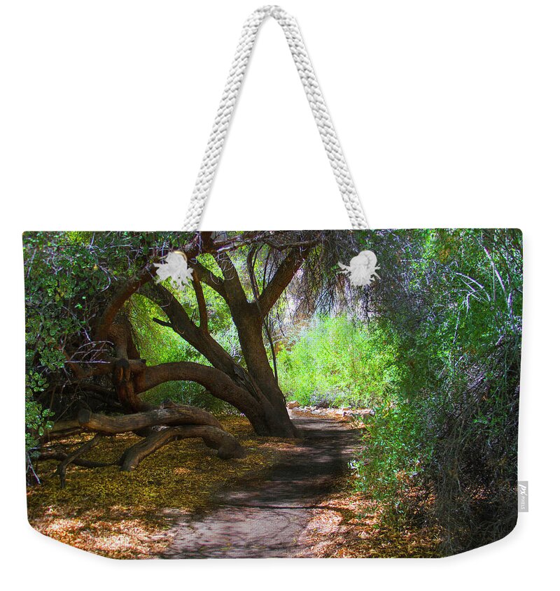 Path Weekender Tote Bag featuring the photograph Along The Path by Joseph Noonan