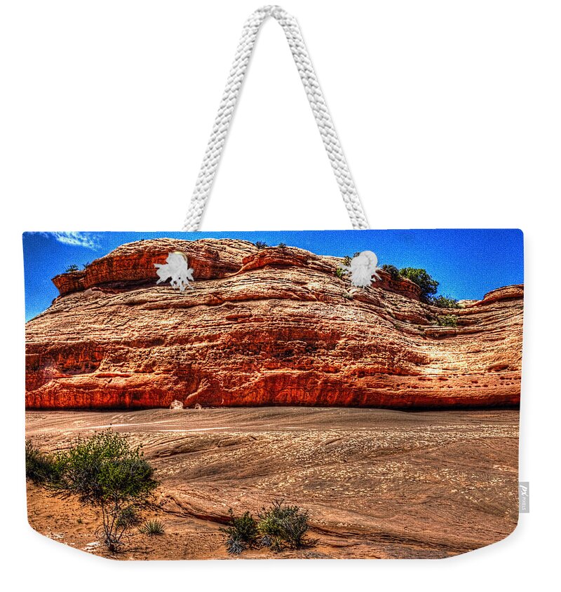 Pictorial Weekender Tote Bag featuring the photograph Along the Trail to Delicate Arch by Roger Passman