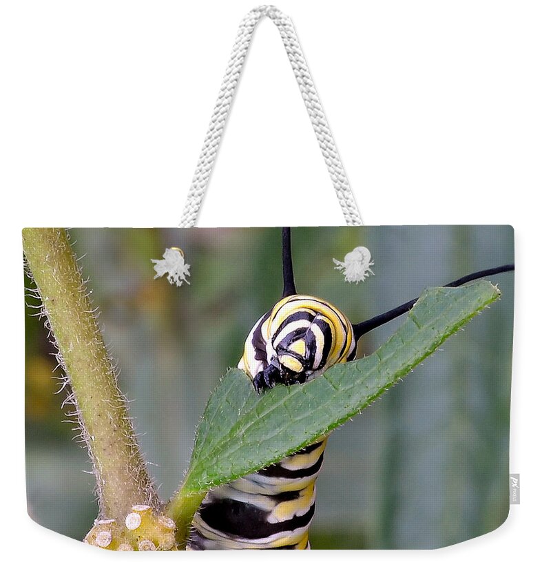 Monarch Weekender Tote Bag featuring the photograph Always Eat Your Greens by Andrea Platt