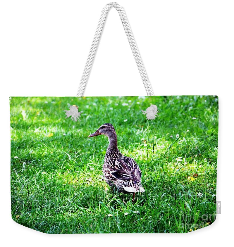Sweet Weekender Tote Bag featuring the photograph Am I Cute or What by Ramona Matei