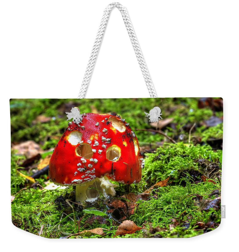 Amanita Muscaria Weekender Tote Bag featuring the photograph Amanita muscaria by Michal Boubin