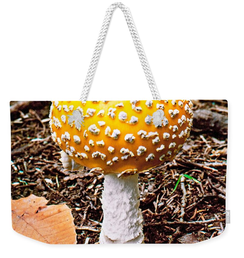 Mushroom Weekender Tote Bag featuring the photograph Amanita Mushroom Photo by Peter J Sucy