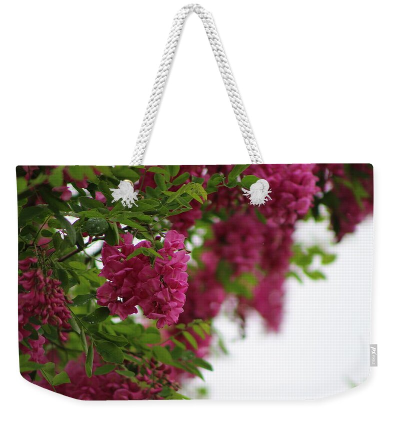 Amaranth Weekender Tote Bag featuring the photograph Amaranth Pink Flowering Locust Tree in Spring Rain by Colleen Cornelius