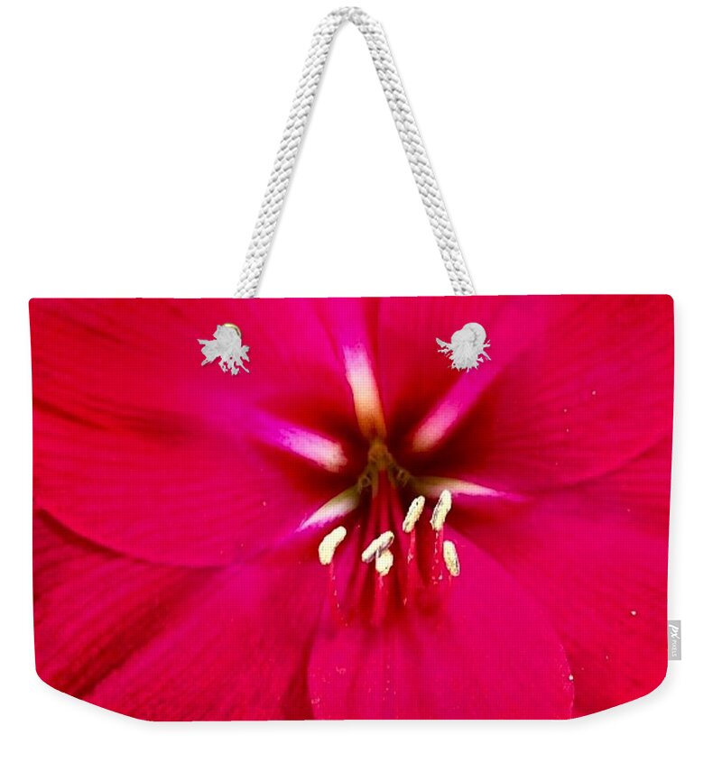 Flower Weekender Tote Bag featuring the photograph Amaryllis Detail by Denise Railey