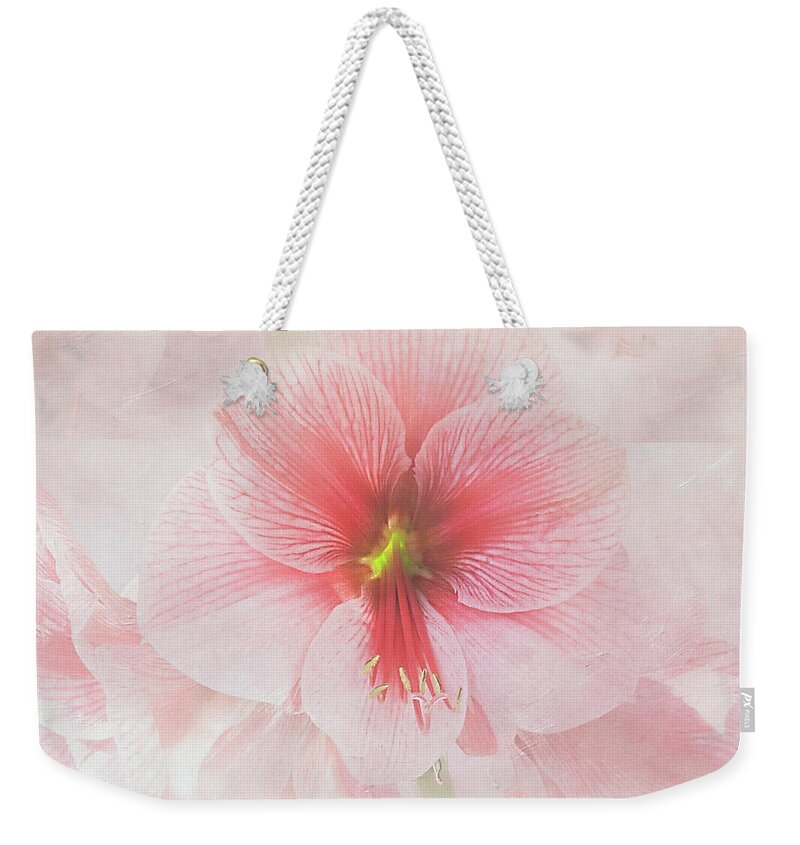Flower Weekender Tote Bag featuring the photograph Amaryllis 'Purple Rain' II by Ann Jacobson