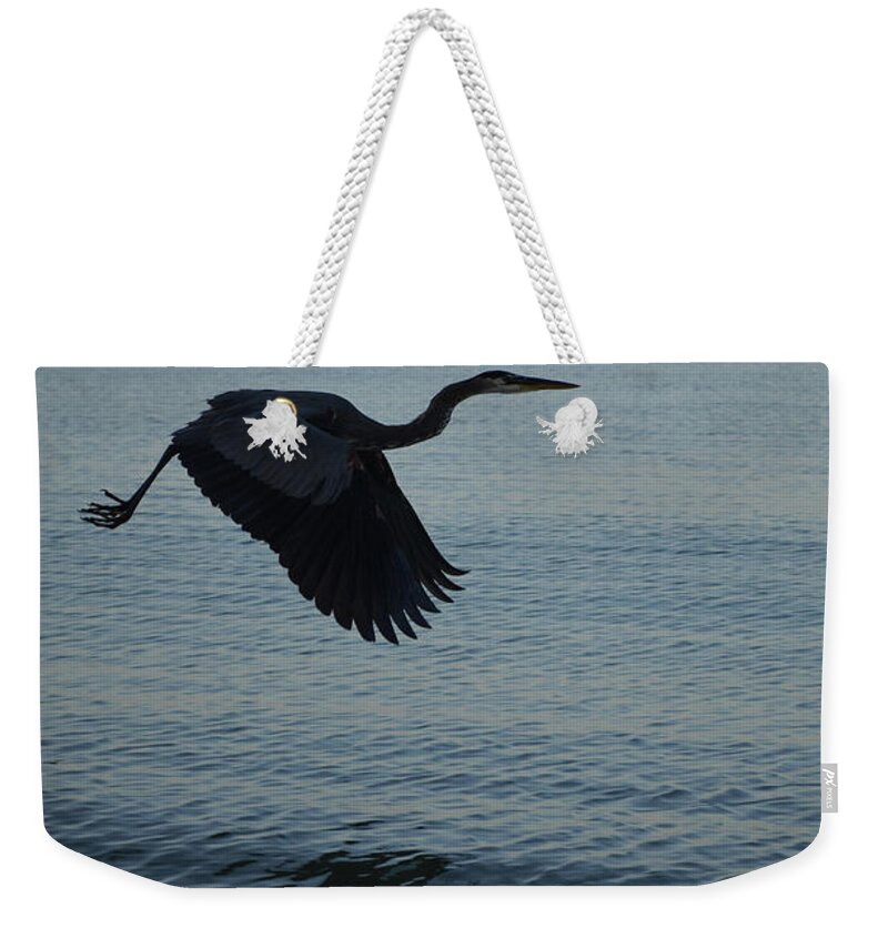 Silhouette Weekender Tote Bag featuring the photograph Amazing Flying Great Blue Heron by DejaVu Designs