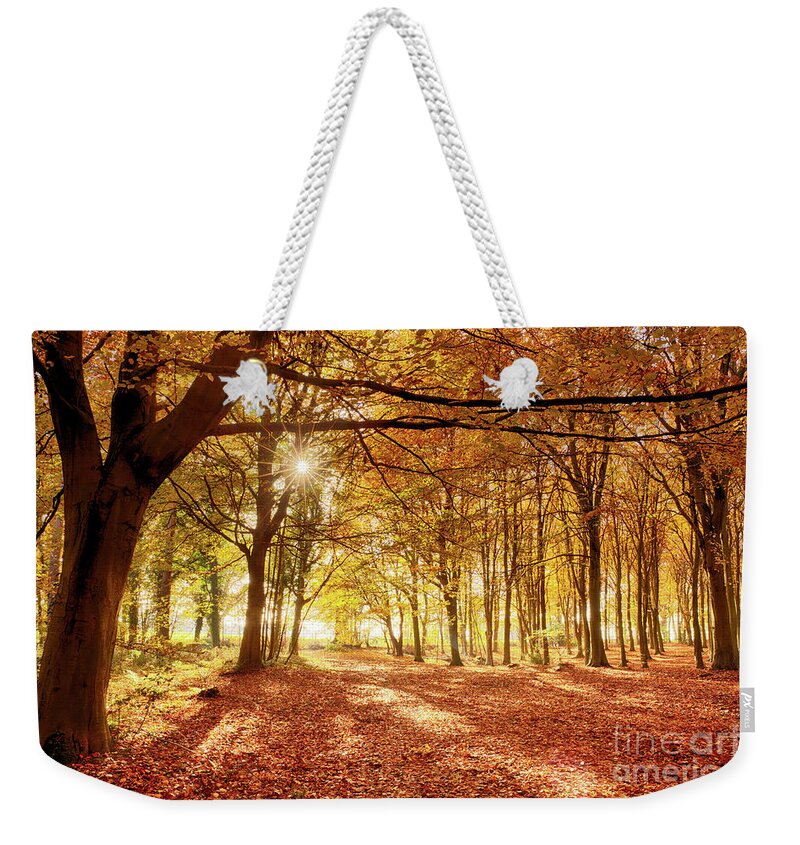 Woodland Weekender Tote Bag featuring the photograph Amazing forest colours in autumn fall by Simon Bratt
