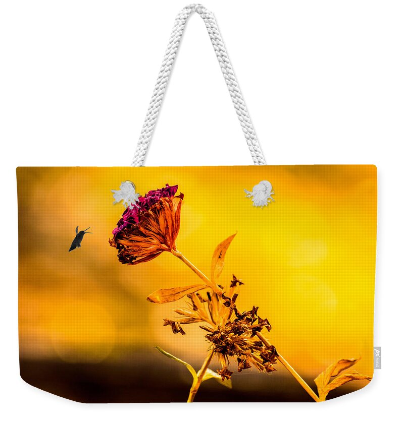 Bird Weekender Tote Bag featuring the photograph Amazon Cherry by Metaphor Photo