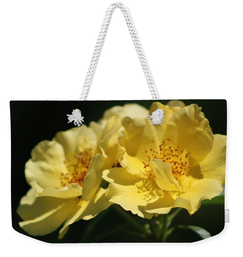 Amber Yellow Country Rose Overnight Bag
