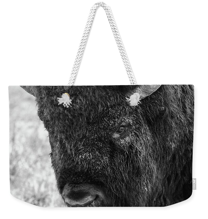 Bison Weekender Tote Bag featuring the photograph American Bison Closeup in Black and White by Tony Hake
