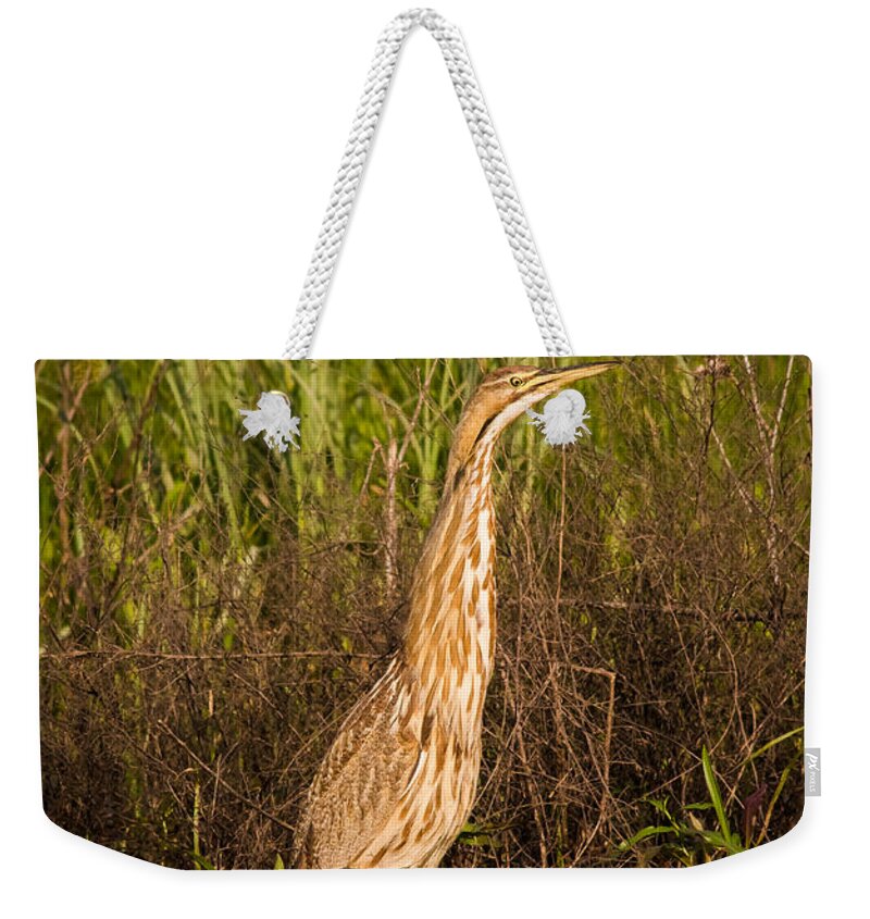 Animal Weekender Tote Bag featuring the photograph American Bittern by Robert Frederick