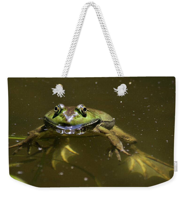 Frog Weekender Tote Bag featuring the photograph American Bullfrog by Christina Rollo